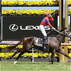 melbourne cup 2021 bet